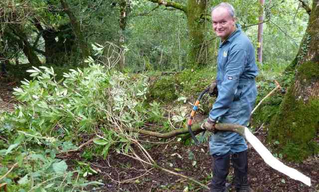 Nigel cutting rhodoendron